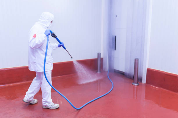 Best Sidewalk and Walkway Cleaning  in Laurel, VA